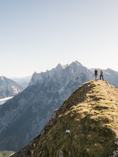 Andreas Hollinger-0775_NPG |  