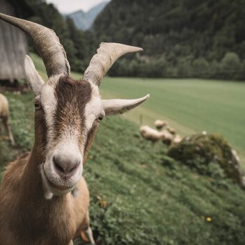 Bauernwinter_c-Stefan Leitner_Gesaeuse_0013 | © www.stefanleitner.com |  