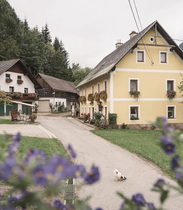 Bauernwinter_c-Stefan Leitner_Gesaeuse_16 | © www.stefanleitner.com |  