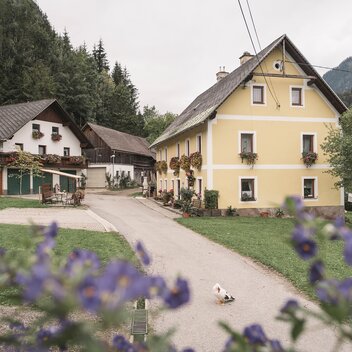 Bauernwinter_c-Stefan Leitner_Gesaeuse_16 | © www.stefanleitner.com |  