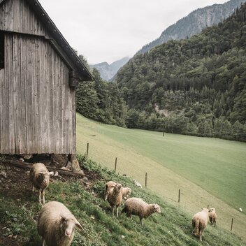 Bauernwinter_c-Stefan Leitner_Gesaeuse_23 | © www.stefanleitner.com |  